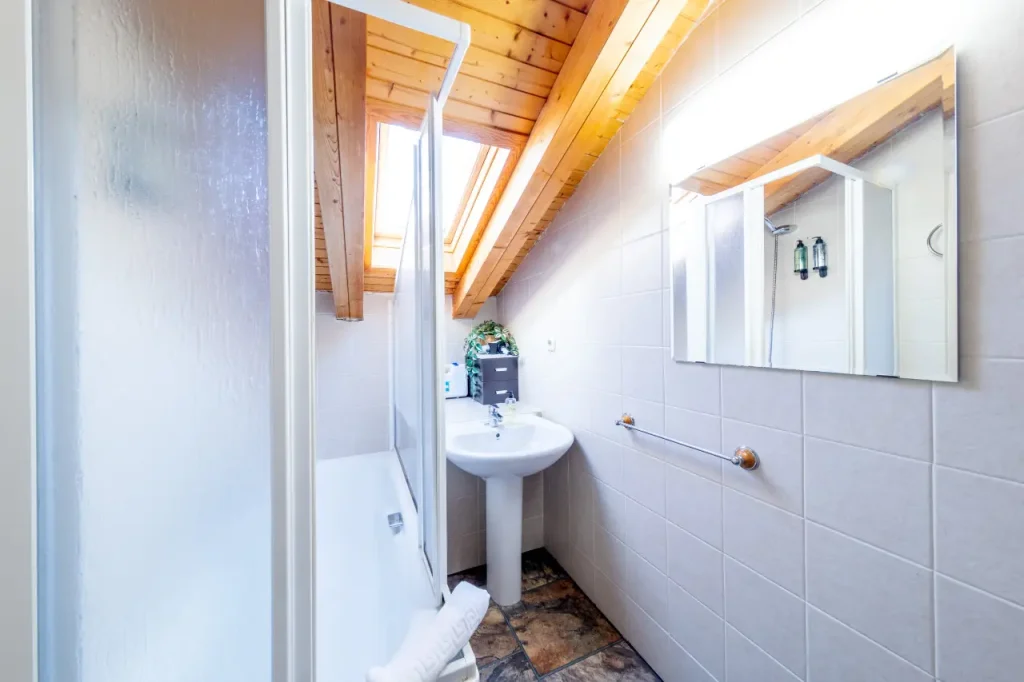 Baño con ducha, lavabo y espejo
