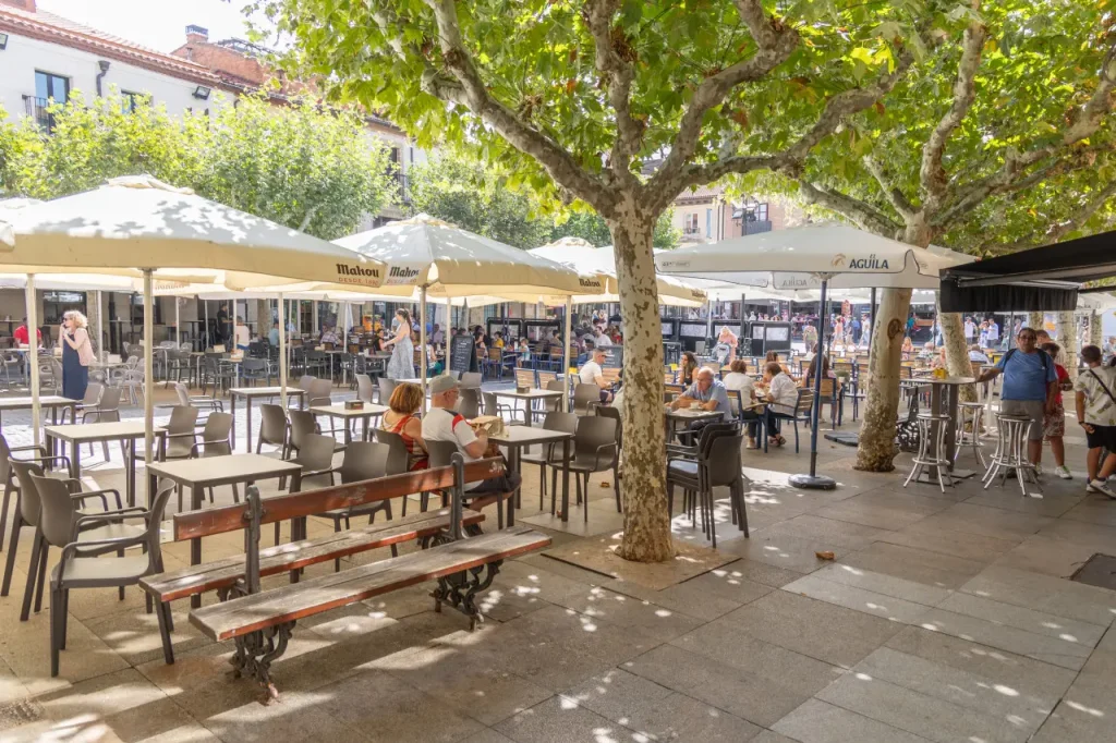 Terrazas bajo los árboles de la plaza, a pie de portal